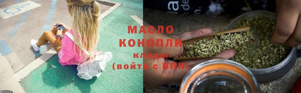 индика Волосово