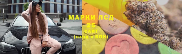 индика Волосово