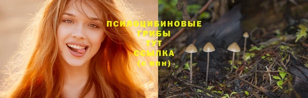 индика Волосово