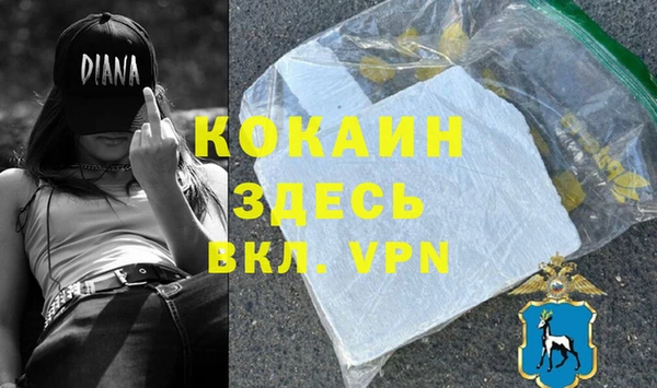 индика Волосово