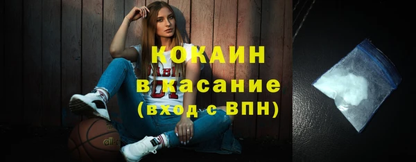 шишки Волоколамск