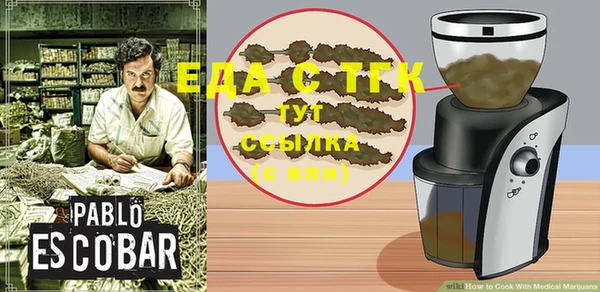 индика Волосово