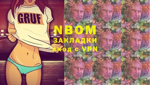 индика Волосово