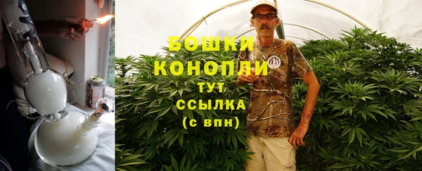 шишки Волоколамск