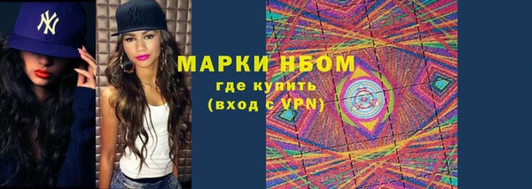 индика Волосово