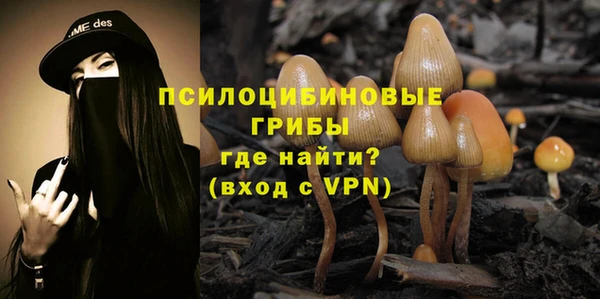 шишки Волоколамск